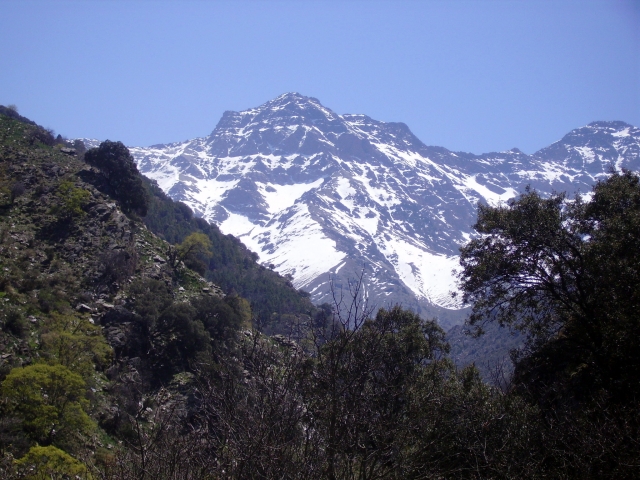  From the path of La Estrella 
